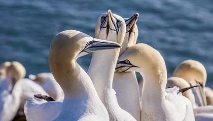 永康最新的高价医保个人账户余额微信查询方法分享(永康医保查询个人账户明细怎么查微信教程)