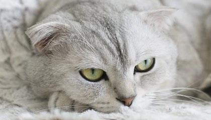 永康最新的高价医保卡惠民保险代扣怎么取消掉了方法分享(永康惠民医保怎么报销教程)