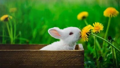 永康最新的高价找中介取公积金违法吗方法分享(永康中介取公积金怎么收费教程)